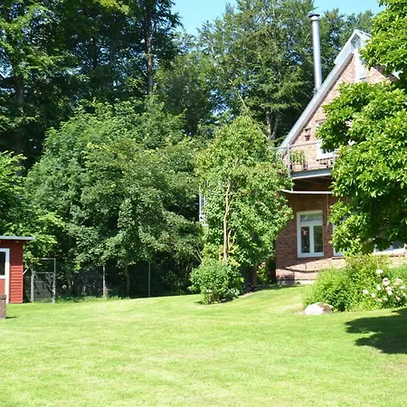 Alte Schule 2 - #1100